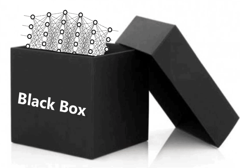 Using explanations for finding bias in black-box models — The need to shed light on black box models